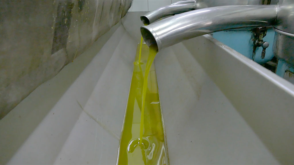 Rozos Oil Ασφάλεια Παραγωγής Ελαιόλαδου